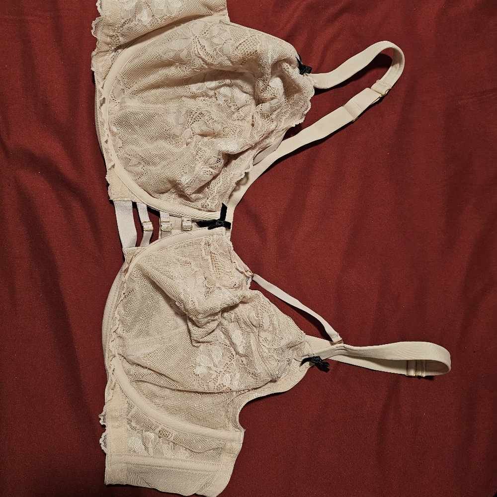 Lane bryant seriously sexy bra